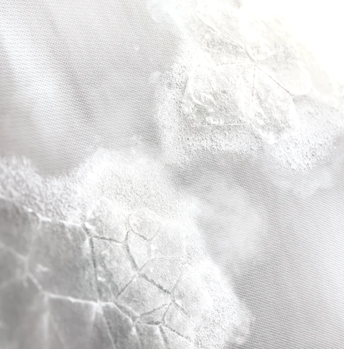 Screenshot 2023 08 23 131231 png