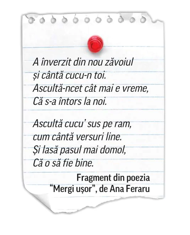 
    Cartea “Poezii – trăiri nemuritoare”, de care poeta e tare mândră  