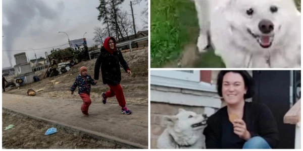 Caine care a asteptat familia printr eruin in ucraina