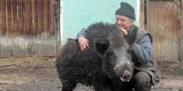 Ioan Nasta