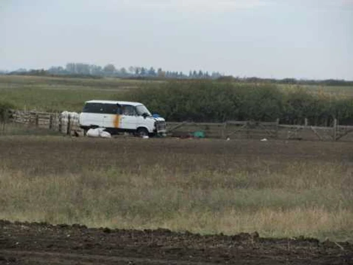 Cioban Autostrada Vestului