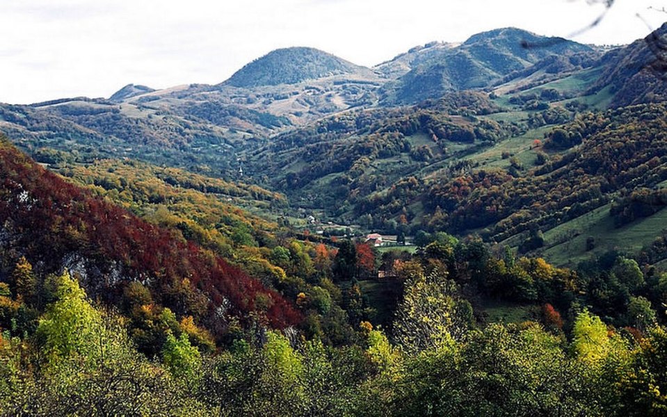 10.000 de lei pentru locuitorii de la sate: cum pot obține banii