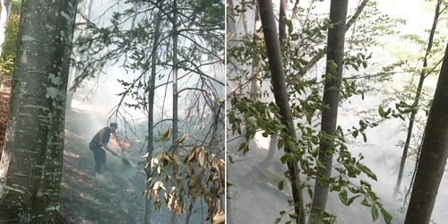 Incendiu în pădurile din Băile Olănești Foto ISU Vâlcea 