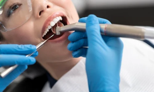 1 shutterstock 667432048 jpg jpeg