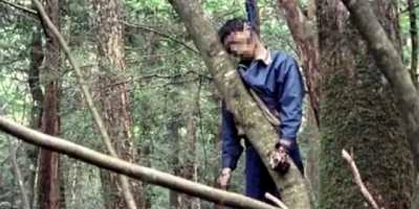 Un bărbat găsit spânzurat în pădurea groazei din Japonia FOTO: Daily Mail