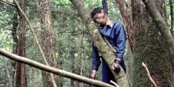 Un bărbat găsit spânzurat în pădurea groazei din Japonia FOTO: Daily Mail