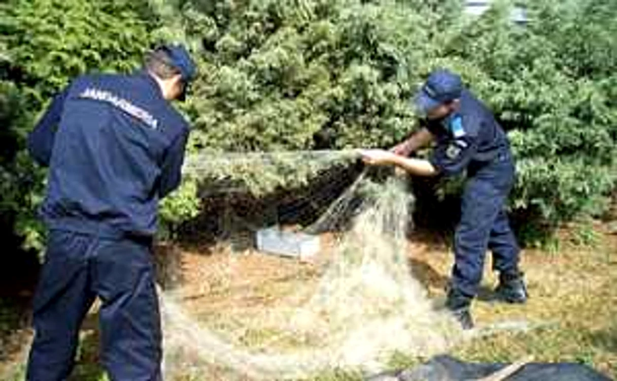 Jandarmii l-au depistat pe bărbat în timp ce pescuia cu plasa monofilament 