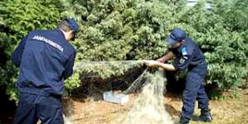 Jandarmii l-au depistat pe bărbat în timp ce pescuia cu plasa monofilament 