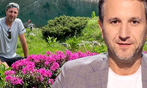 cub andi moisescu png