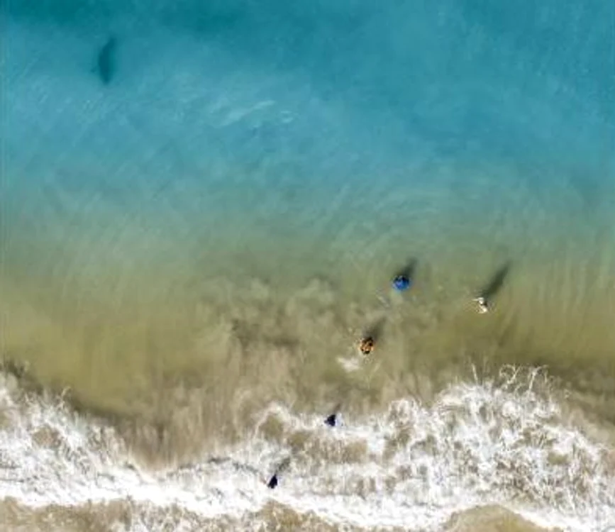 
    Imagine teribilă surprinsă dintr-o dronă: un rechin, la câțiva metri distanță de trei copii miciFoto Instagram  