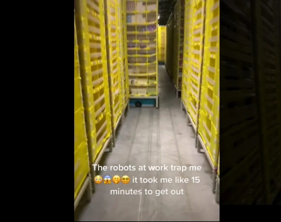 FOTO: Captură Video / TikTok
