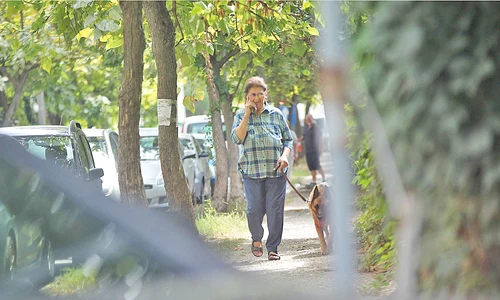 Septembrie  Irina Loghin înconjoară Herăstrăul în fiecare zi jpeg