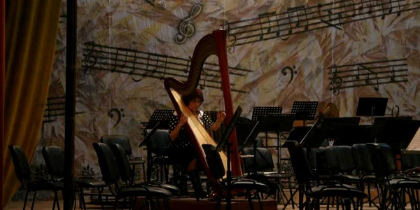 Muzicienii vor cânta la instrumente de sute de mii de lei