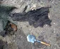 Descoperirile detectoriștilor în Poiana Spinului Perișani în Țara Loviștei Vâlcea Foto RMA jpg