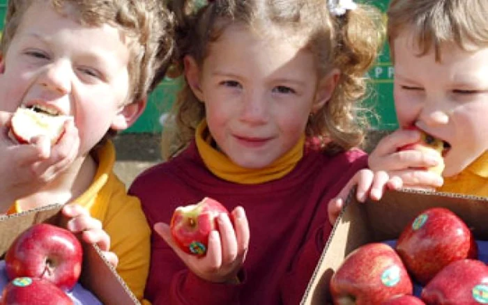 Elevii vasluieni riscă să nu mai primească mere FOTO:adevarul