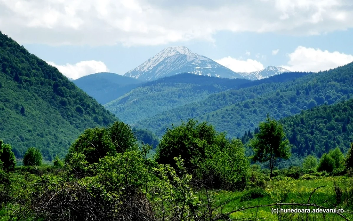 Retezatul. Foto: Daniel Guţă. ADEVĂRUL