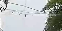 Moment Super Typhoon Fung wong violently rattles suspension bridge in Philippines publer com mp4 thumbnail png
