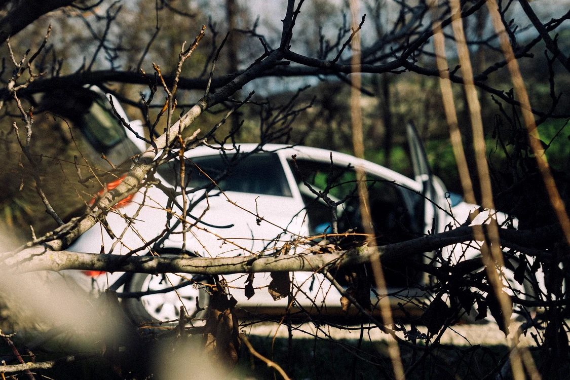 A furat o mașină în care era un bebeluș, apoi a intrat într-un copac / Foto: Pxabay
