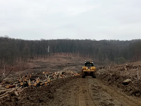 Șantier tuneluri pentru urși FOTO DRDP Timișoara