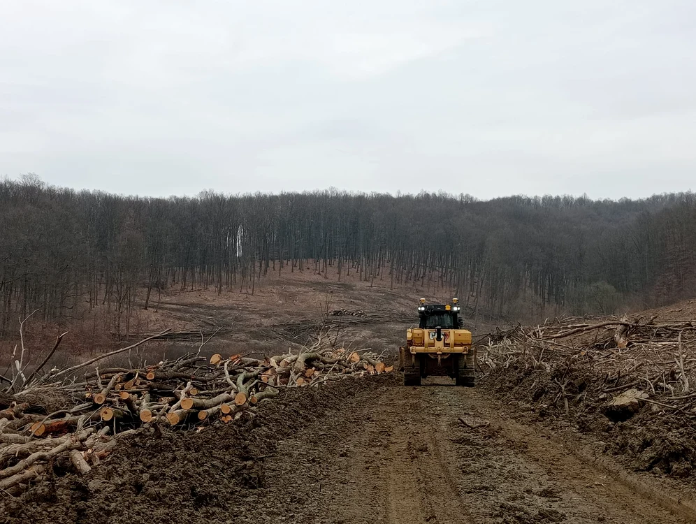 Pregătirea șantierului la tunelurile pentru urși FOTO DRDP Timișoara