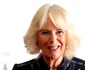 Regina Camilla la Clarence House, Profimedia