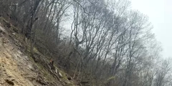 Căderi de pietre pe carosabilul DN7 care au dus la blocarea traficului pe Valea Oltului Sursă IPJ Vâlcea mp4 thumbnail png
