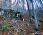 Drumul spre peștera din Valea Rea Foto Daniel Guță (20) jpg