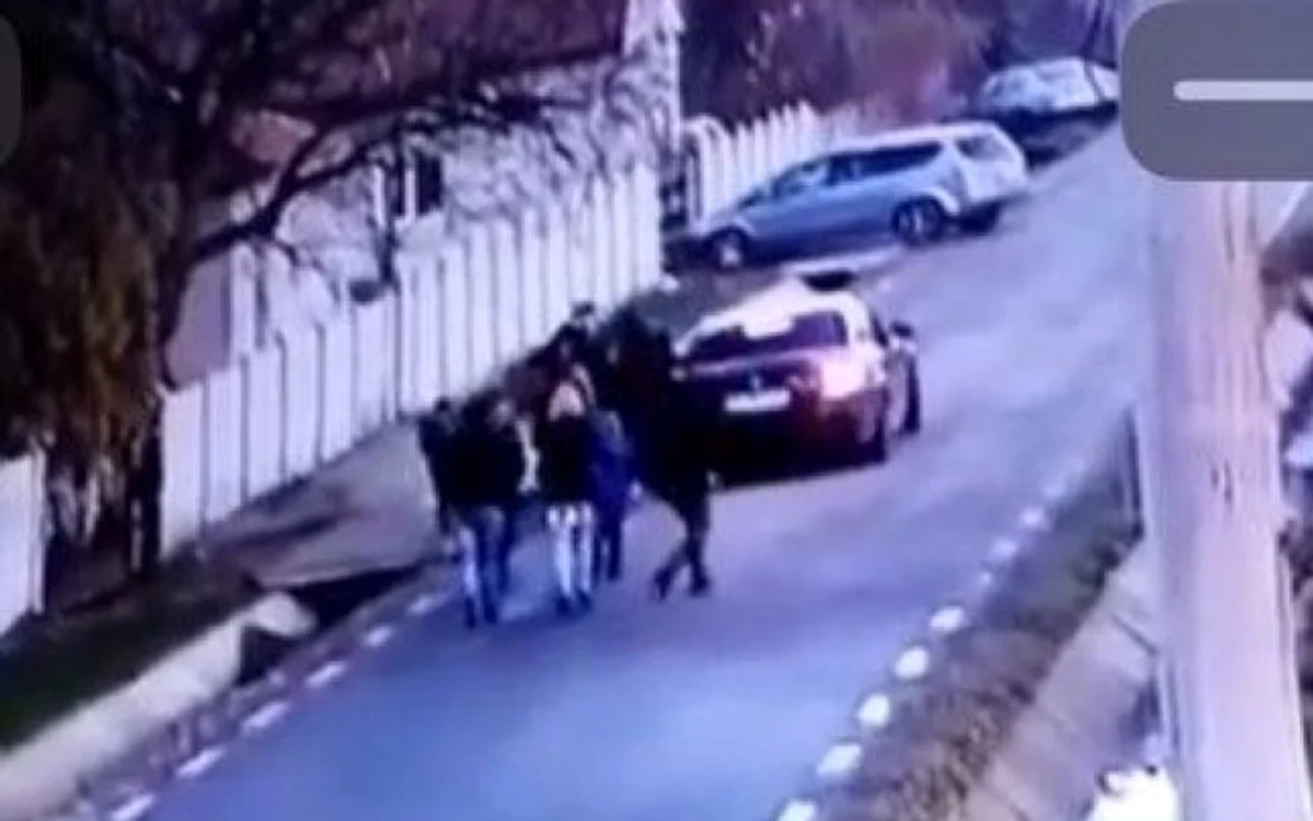 
    Camerele de supraveghere au surprins momentul în care fata este luată de lângă rudele eifoto: captură YouTube  