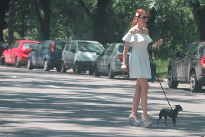 În timp ce Radu împingea la cărucior, soţia îi purta de grijă căţelului familiei