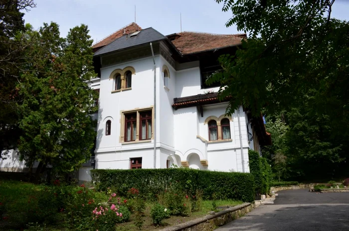 Vila a fost construită în a doua jumătate a secolului al XIX-lea FOTO Muzeul Național Brătianu