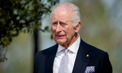 Regele Charles, foto Shutterstock jpg