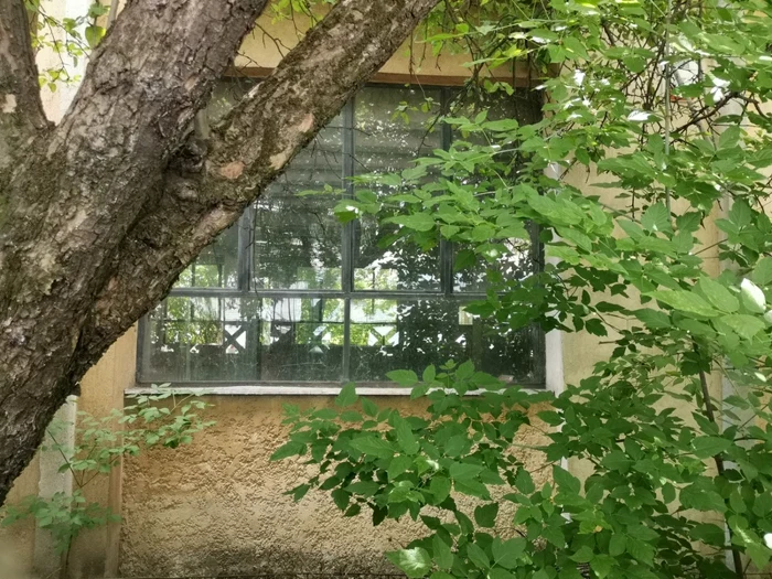 Imobiul de pe strada Cuvin nr.2 FOTO Ş.Both