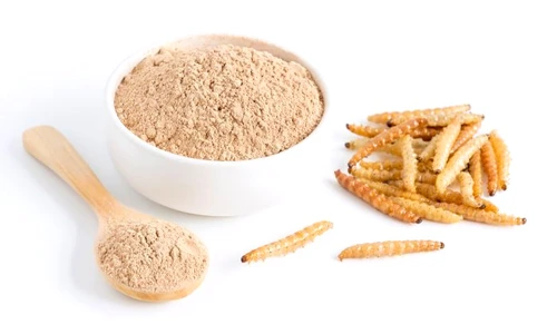 1 viermi faina jpg jpeg