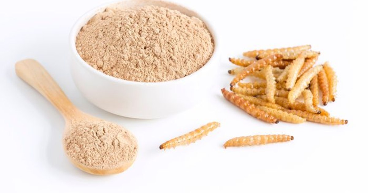 Pudra din viermi galbeni de făină: Un nou ingredient pe piața europeană