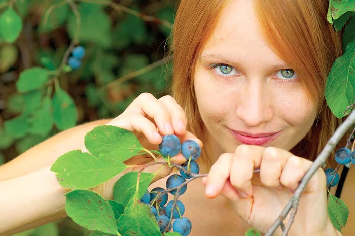 afectează smalţul, cauzează fisuri dentare, carii şi disconfort termic