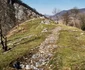 Ardeu, Valea Geoagiului Foto Daniel Guță ADEVĂRUL (3) JPG