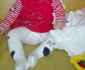 Sofia Andreea Radu – Timişoara jpeg