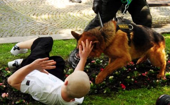 
    Parada gay a fost întreruptă din cauza incidentelor  