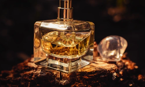 3 shutterstock 723060388 jpg jpeg