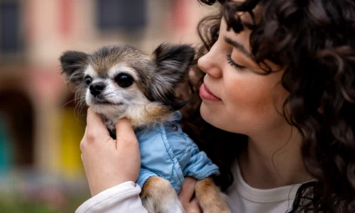 side view woman with cute chihuahua dog jpg