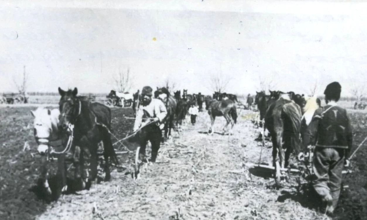 Reforma agrară în România FOTO: www.comunismulinromania.ro