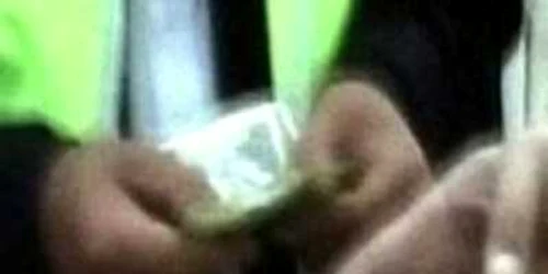 Falşii angajatori au încasat de la 15 persoane, identificate până în prezent, sume cuprinse între 110 şi 200 de euro.