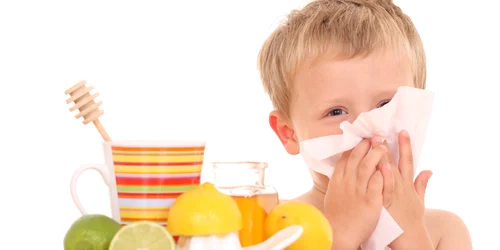 baiat copil isi sufla nasul racit raceala masa fructe shutterstock 5152459 0 jpeg