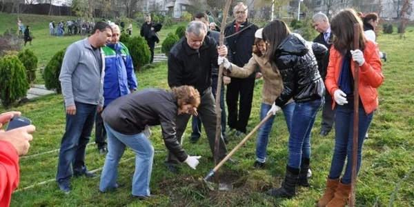 plantare copaci foto ps2