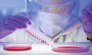 4 5 act 2 shutterstock 130755707 2col lat jpeg