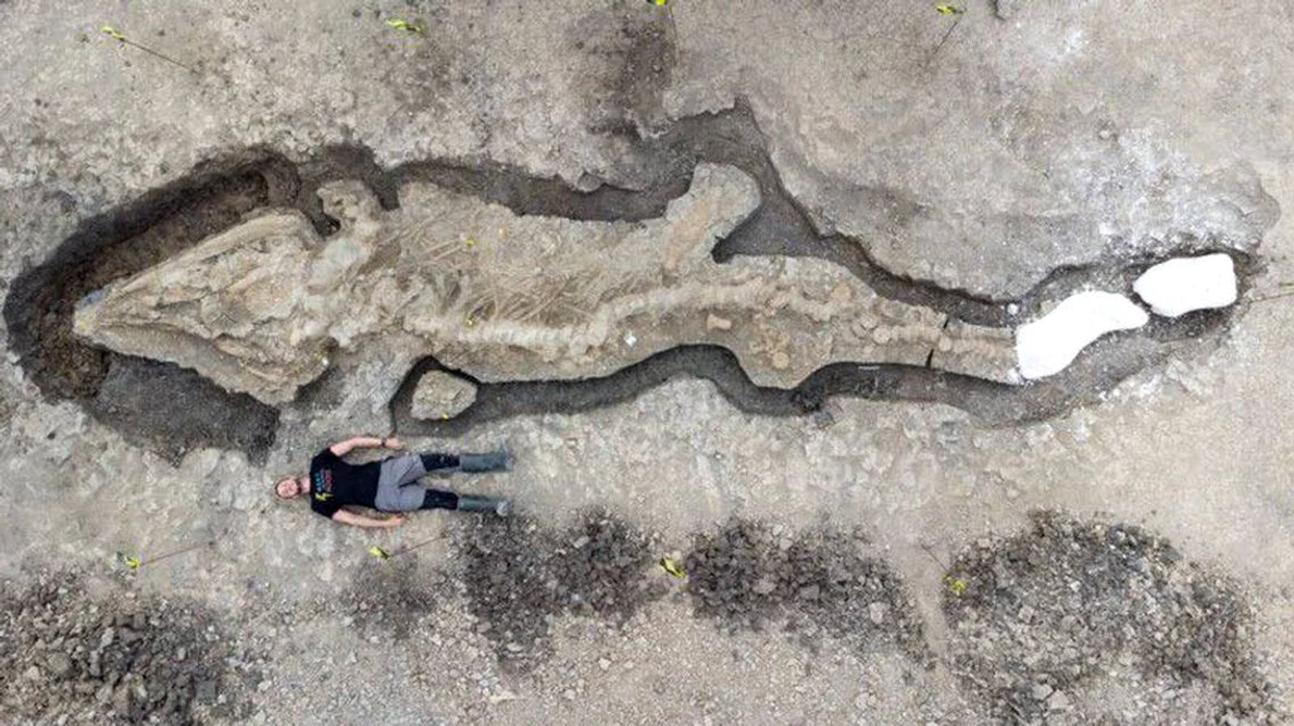 Arheologii din Marea Britanie au făcut o descoperire istorică: un „dragon de mare” cu o lungime de 30 de metri jpeg