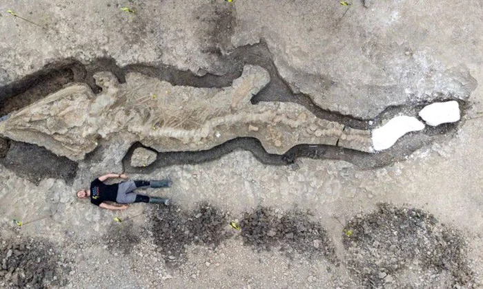 Arheologii din Marea Britanie au făcut o descoperire istorică: un „dragon de mare” cu o lungime de 30 de metri jpeg