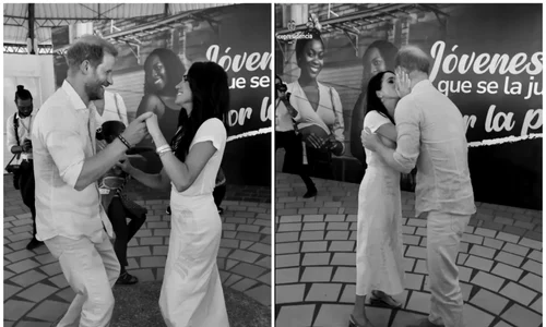 FotoJet Sussex (1) jpg