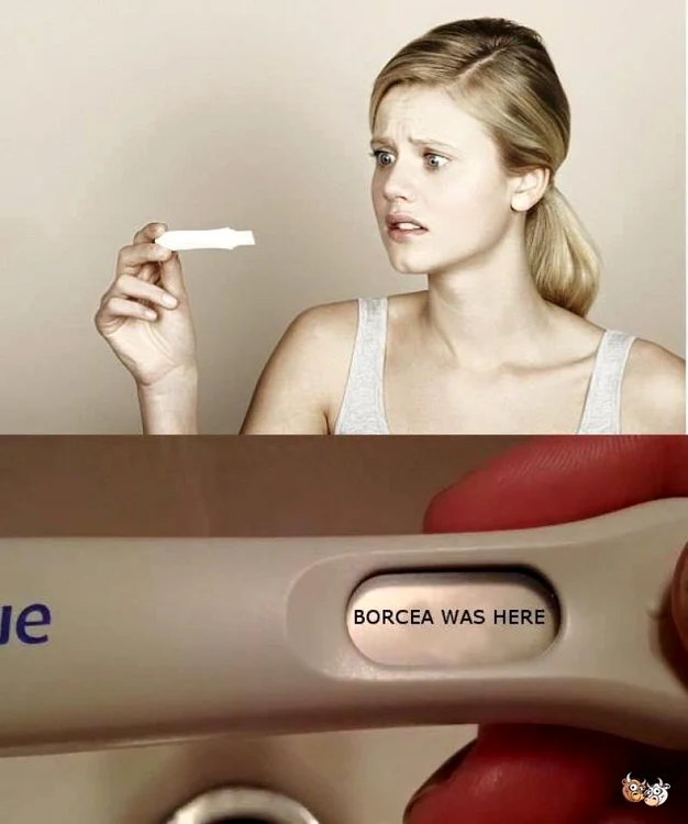 Borcea was here / Borcea a fost aici