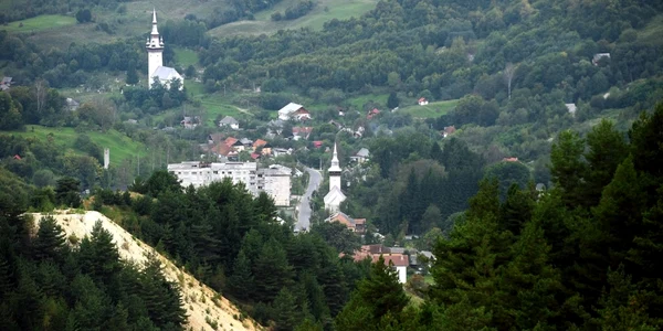 rosia montana alba